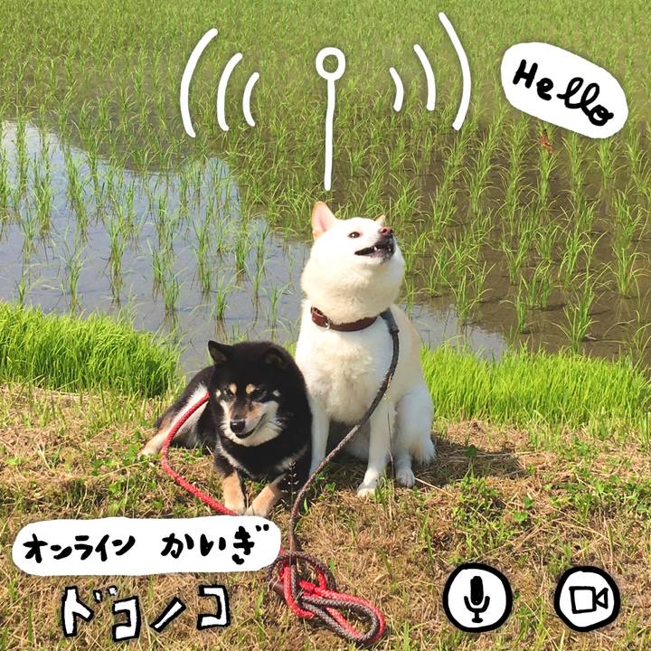 9e5d4c85 ad95 4a9c ada7 57b9b99a64a6 1590802094244