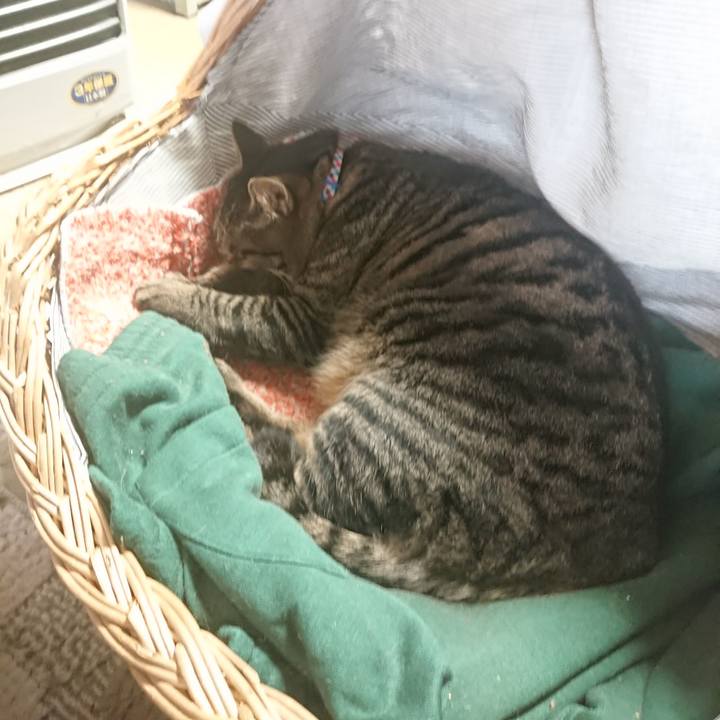 9e5d6cb0 a11e 4ac8 91c9 3358140f90fd 1642931477131