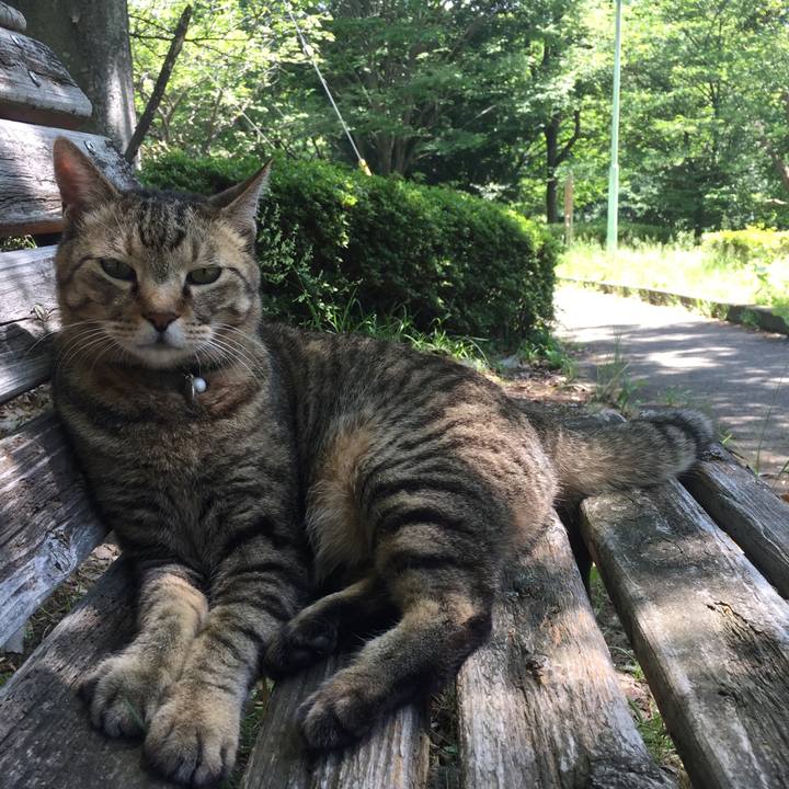 9e5d76b4 f24a 40b9 a878 aa19d02e2177 1525593358508