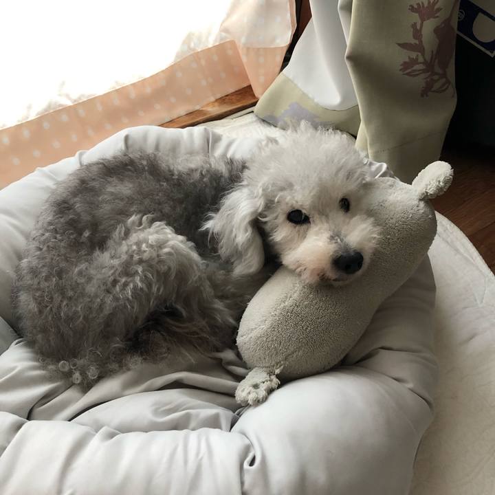 9e5d8381 5285 4669 89ab 1f208cb2127f 1629675205991