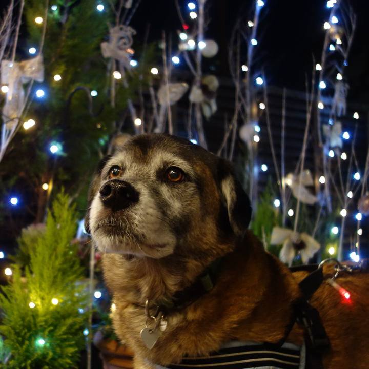 9e5d87ff c37a 4bbe ae2e 883fad396d34 1545648883200