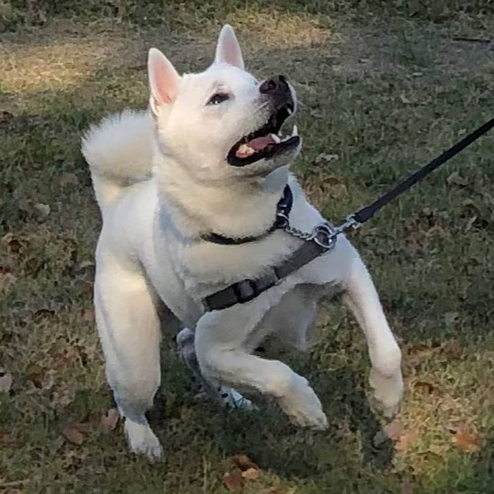 9e5d9658 4cb1 409a aa87 5bed897fef71 1584447318197