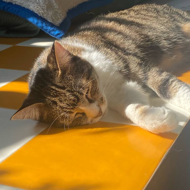 9e5d9ad1 b175 40b7 9a6f 3bc4924cdd36 1698973260218