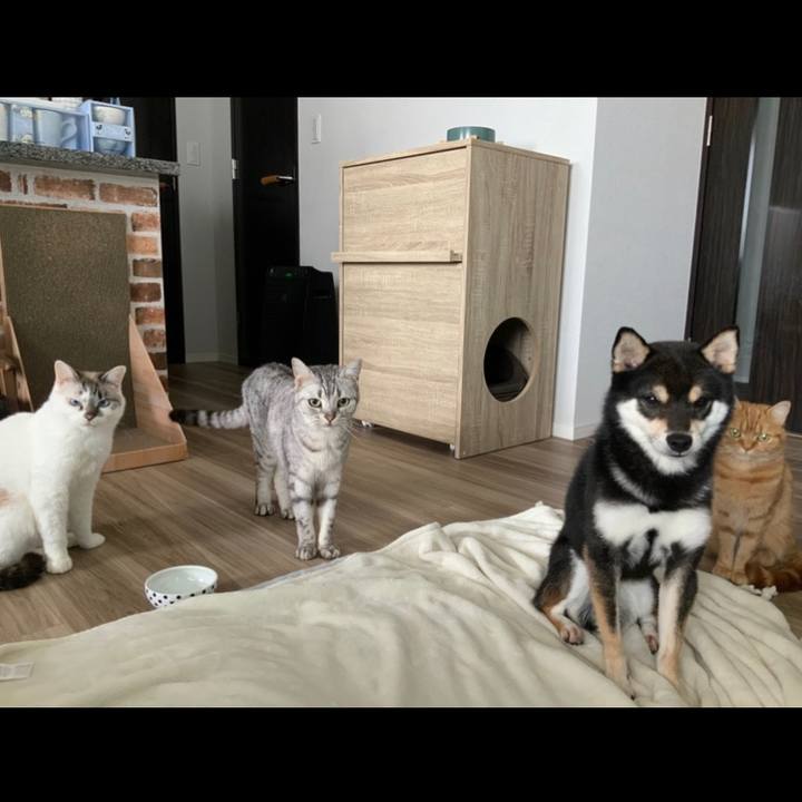 9e5dc561 a9ad 47bb a650 639e402c5e51 1652866635167