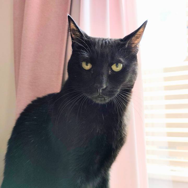 9e5dd34f 5360 4c06 b372 74e2ff585d67 1776561431122