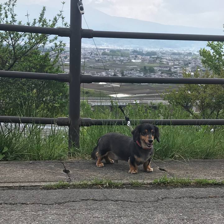 9e5ddffe c1d5 446d a629 bdb9d964cb85 1525322235319