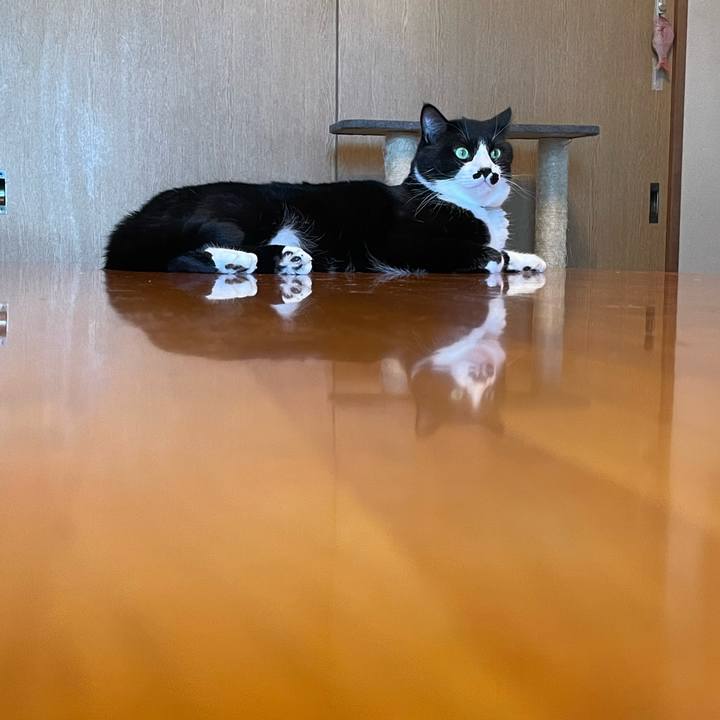 9e5e224d 1cb9 46a1 a214 5eeccba6b84c 1725246284618