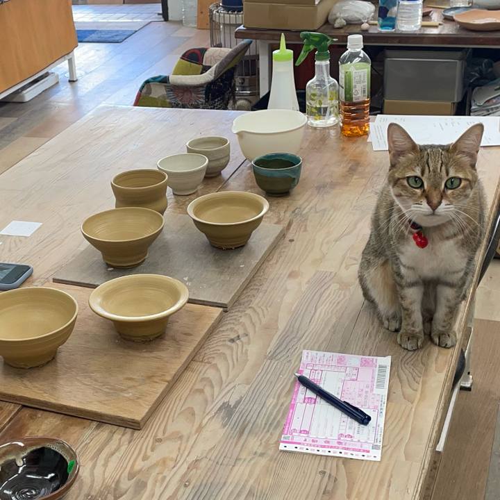 9e5e7548 31bf 4f25 bf00 d5ecfa75b442 1715386452322