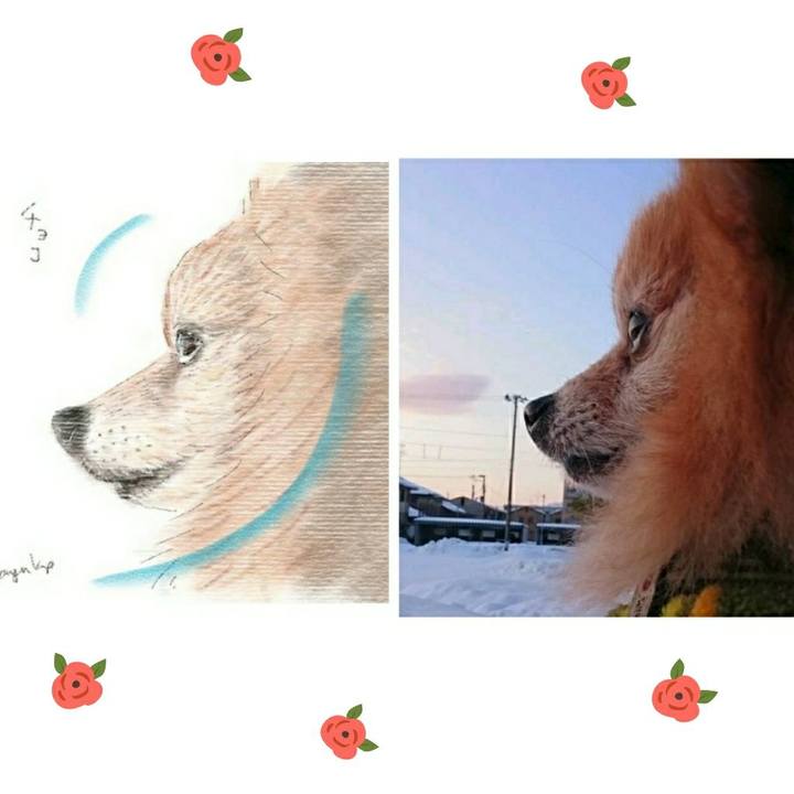 9e5e7bbe fccf 4819 8099 39ea6294ad99 1587874116262