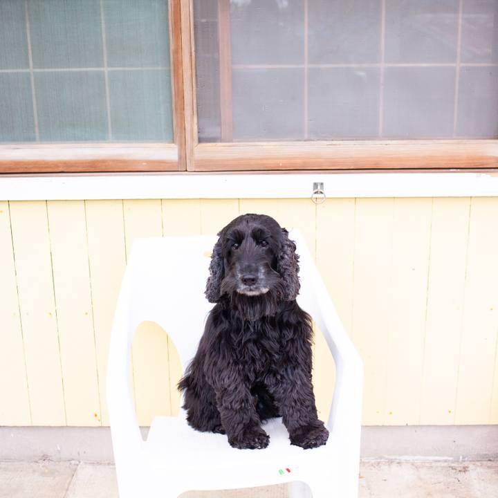 9e5e7dd2 78ba 4f91 a4fe 007f30fb9cfa 1550028800242