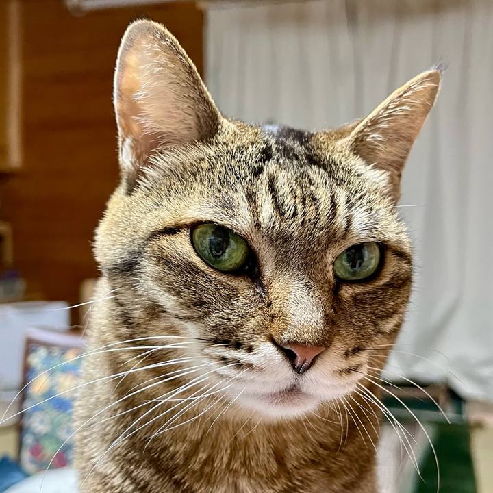 9e5e7e76 a71c 4c7d bcce 9c48741f7ef7 1771675683685