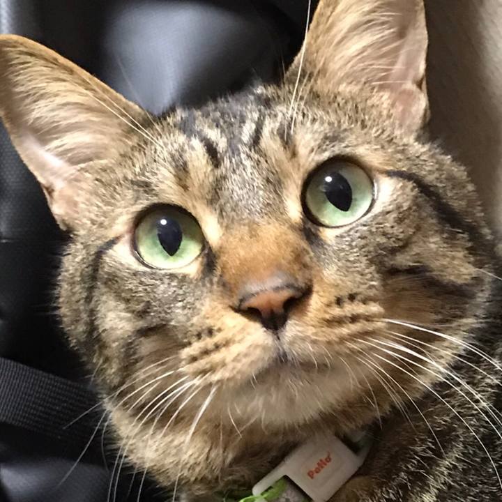 9e5e9427 ee02 48b1 b1d1 db7f034d9c13 1577192635459