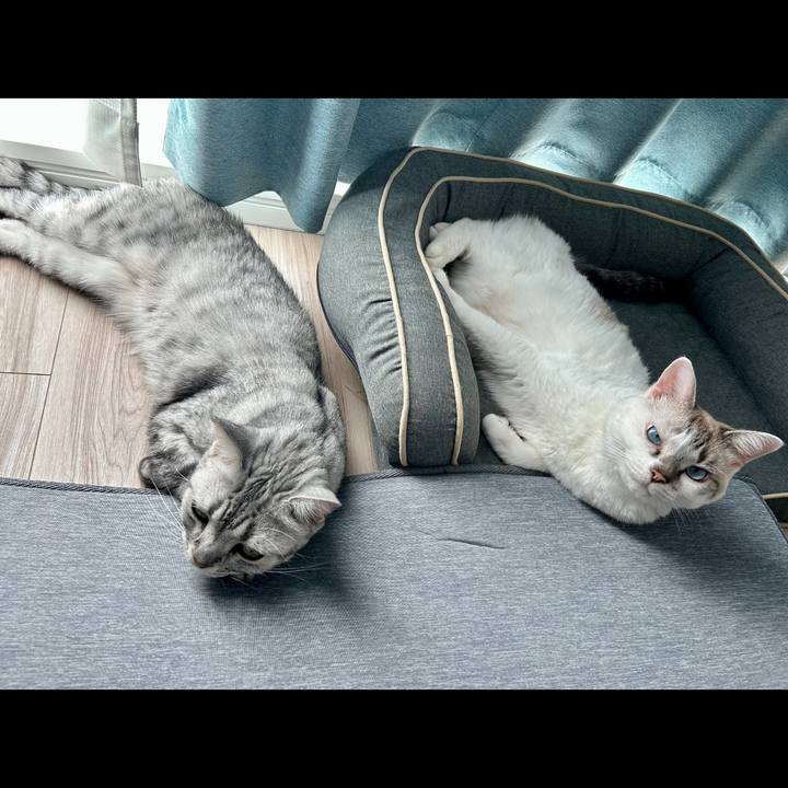 9e5ee414 f62d 4518 b408 4c3e623f1b4a 1695777471384