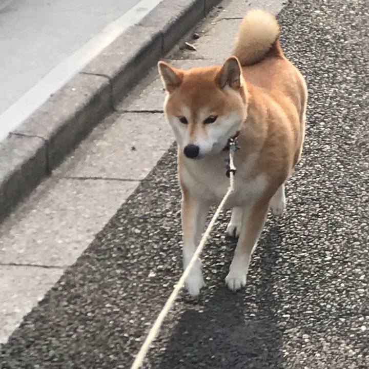 9e5f0260 127f 4689 98ff 5dc70ddfd16c 1541852344529