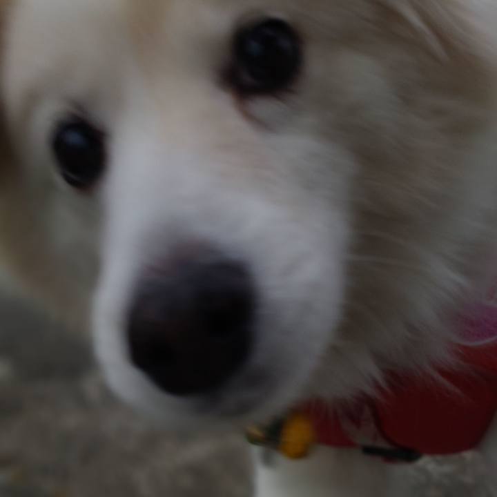 9e5f0b61 fe09 4abc b52d 3136f2530c2d 1647897084316