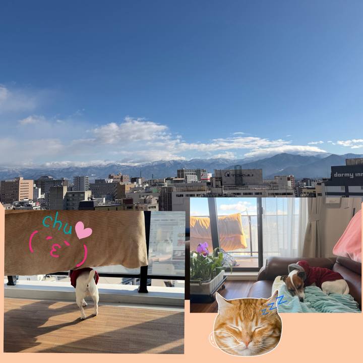 9e5f1afc 5b77 421b 94b6 9efea6529165 1767717189147