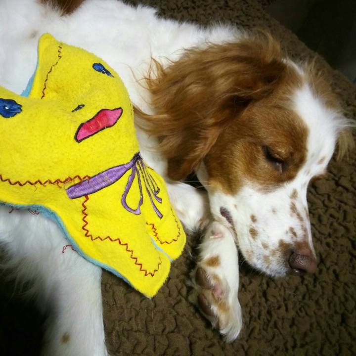 9e5f1c16 416c 4dfb b3c3 ada02a2ecfe3 1518265574729