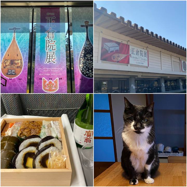 9e5f4c9f 0352 431c b42f 4298357e23b2 1698996727610