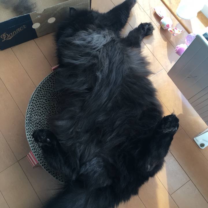 9e5f8d37 38e3 4154 8ca8 deadb71b11f4 1551261169274