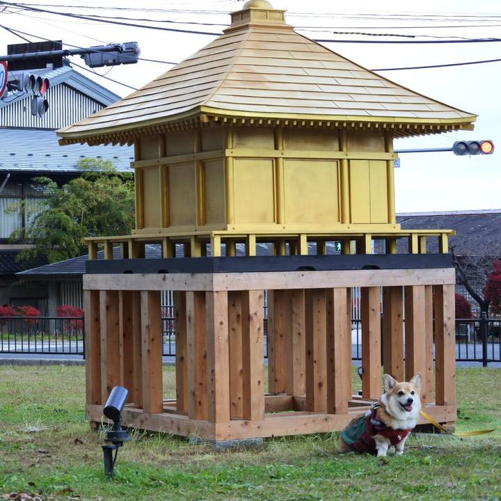 9e5f96d9 dc69 482c 94c9 b6e569a5991e 1732449145179