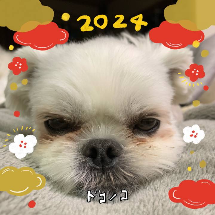 9e5fbb91 a2ea 431c 98ad f1d86da25a31 1704077394314