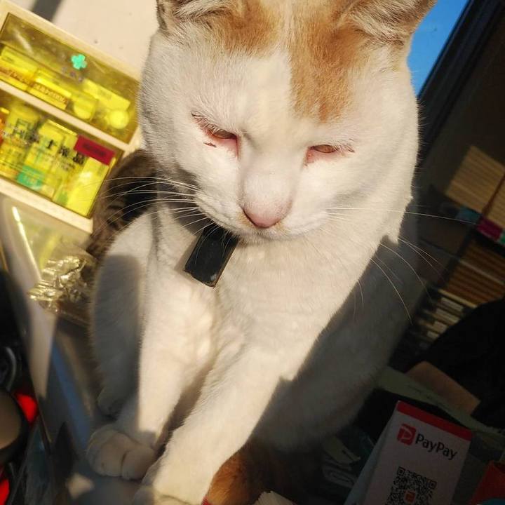 9e5fc24c 352b 483f 9788 d117a613f257 1576798974241