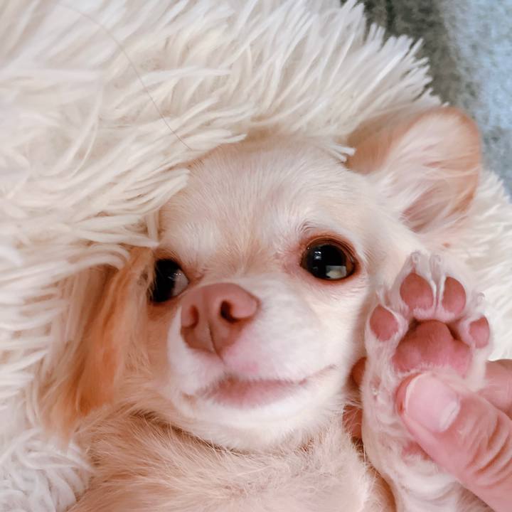 9e5fd17c 6fca 4b3f abee 4befefeb47b5 1660889090381