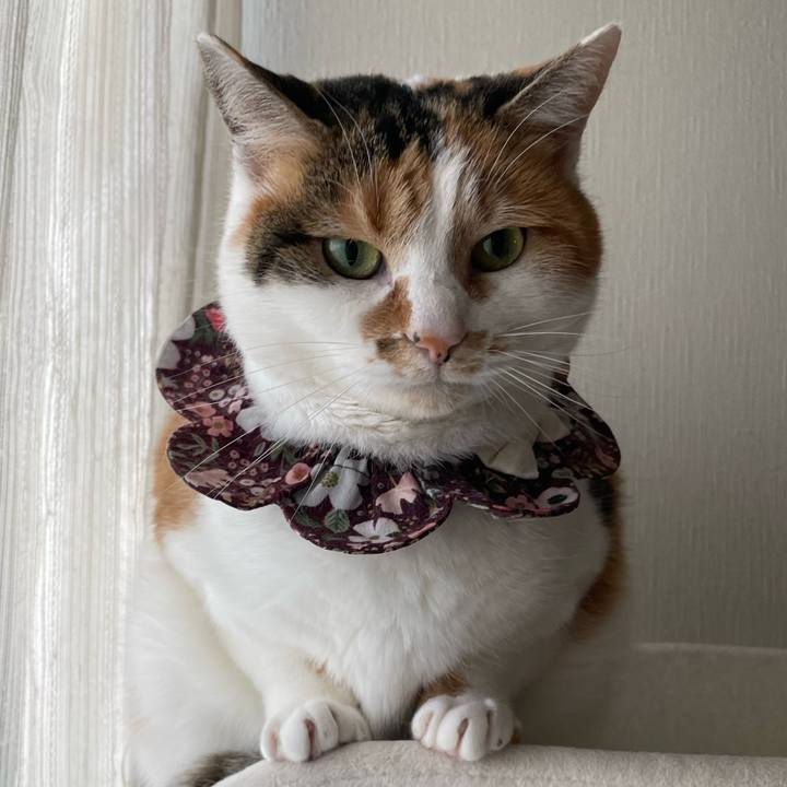 9e5fd1f5 55e8 4769 a443 9197e140d428 1738798313948