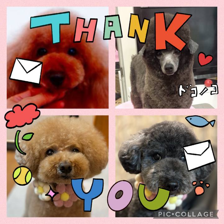 9e6002fe f918 4c3d 9c24 627785ca2df0 1715477849816