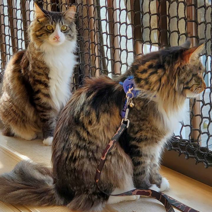 9e602710 6f57 471e a6d0 1a498d934423 1679811508783