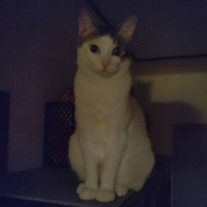 9e602c06 956f 45e5 9b77 6307ac1767f6 1710761791902