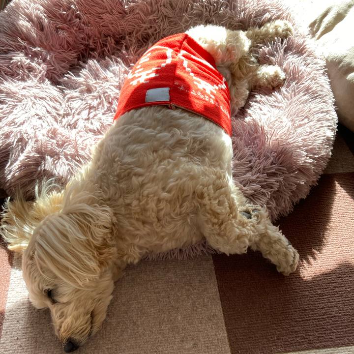 9e60a48c ad55 4221 8f04 42a9cc0d5654 1769314491503