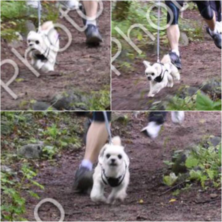 9e60c679 e193 46d4 9e47 dbe74464086c 1561206398290