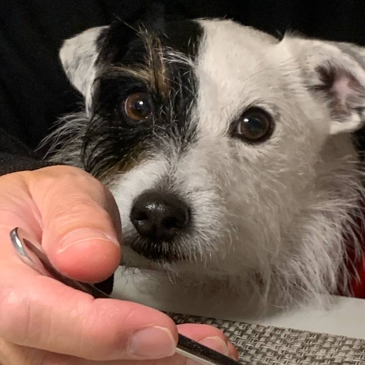 9e60fb88 6f85 4d30 bc1b 6a3f62f53065 1643106070009