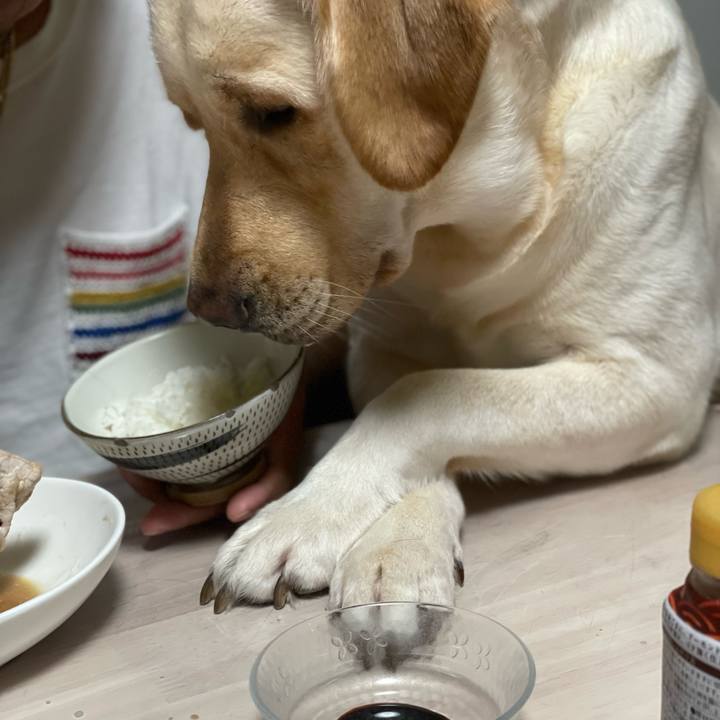 9e6158cb d6d7 46b4 add7 84d48a443cd3 1688690290860