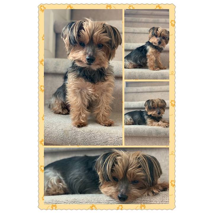 9e61f655 c218 4c74 ac0c 3536408715be 1611703905282