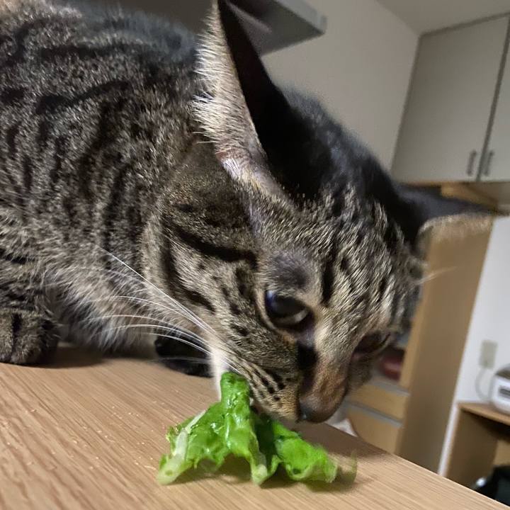 9e62043c fec3 4001 aa8b f5429df48f39 1667818986409