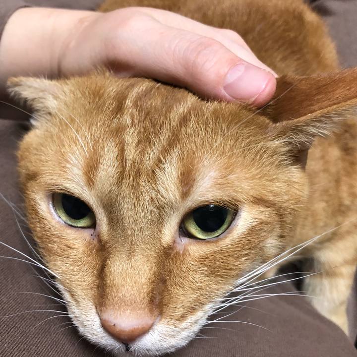 9e622ed9 817c 4bec aa31 6e2726c226f2 1607689783368