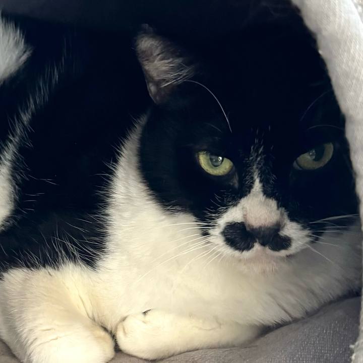 9e6265c3 e4b2 44eb 960f e2bcf530cfde 1732346988712