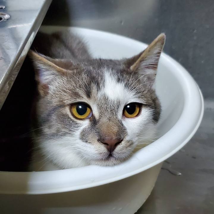 9e6289d3 7194 4783 918f d942ae1f467d 1679118820045