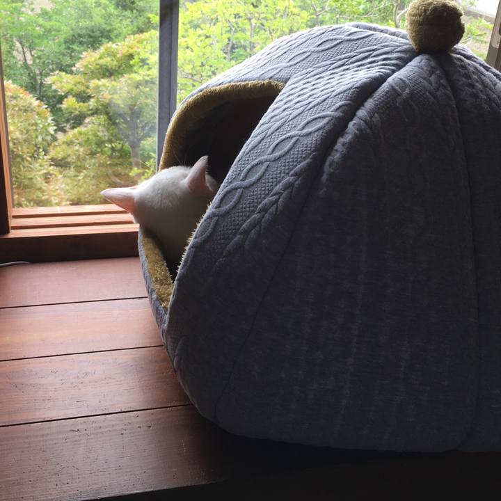 9e62afa1 1335 4c52 ba69 f1a9997b8fa7 1526614729380