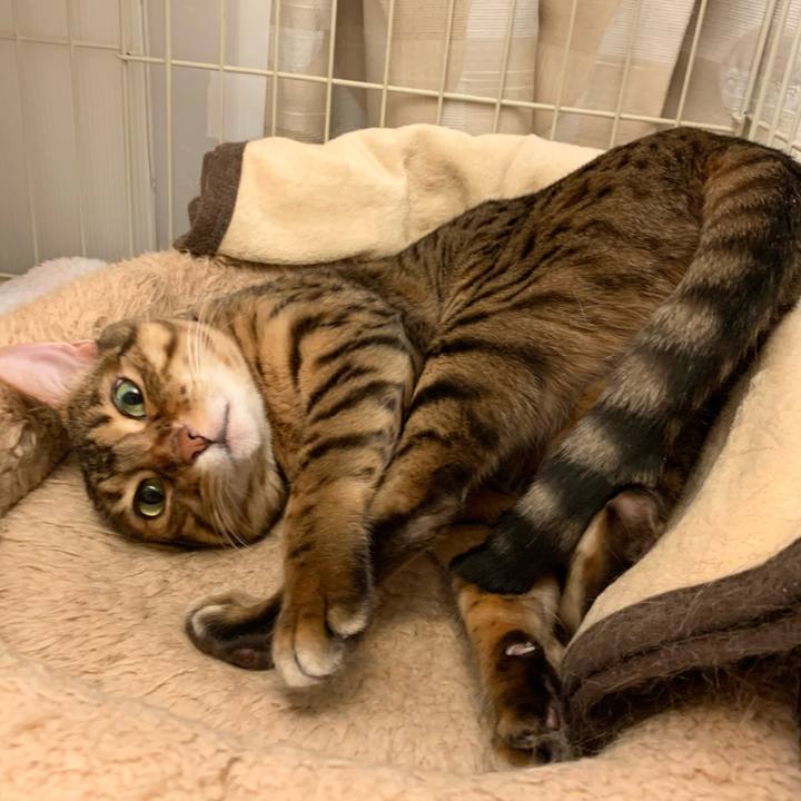 9e6367df 4332 419c 8ba9 d459ef194465 1618457188320