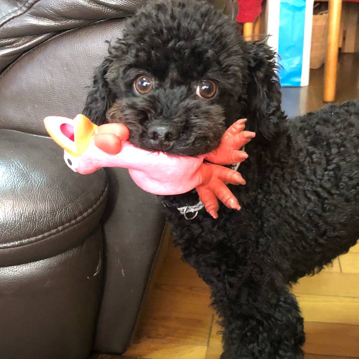 9e637aa6 cf6c 442b a653 be613e6ccc28 1548284449147