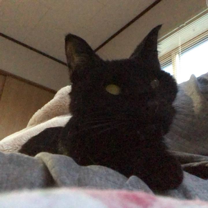 9e63951f 3516 417f a19c 6f093e5a05f3 1558301228839