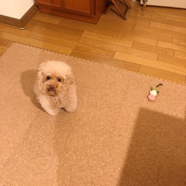 9e63ef84 4462 47cd 865c 23eb1cf4de7b 1509238083389