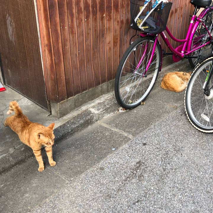 9e6418bd 4791 488d 8f64 2e9c9781c5c6 1523522546558