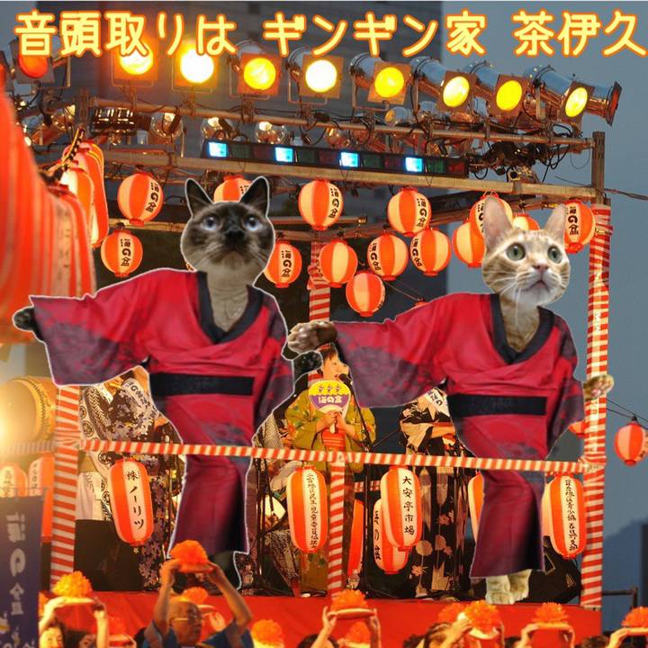 9e6419c2 a0a4 43a3 87c7 3733fde39a4b 1565611308651