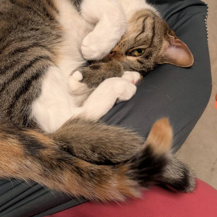 9e642118 109e 4cc1 9515 0e46cb5fb06b 1743948360644