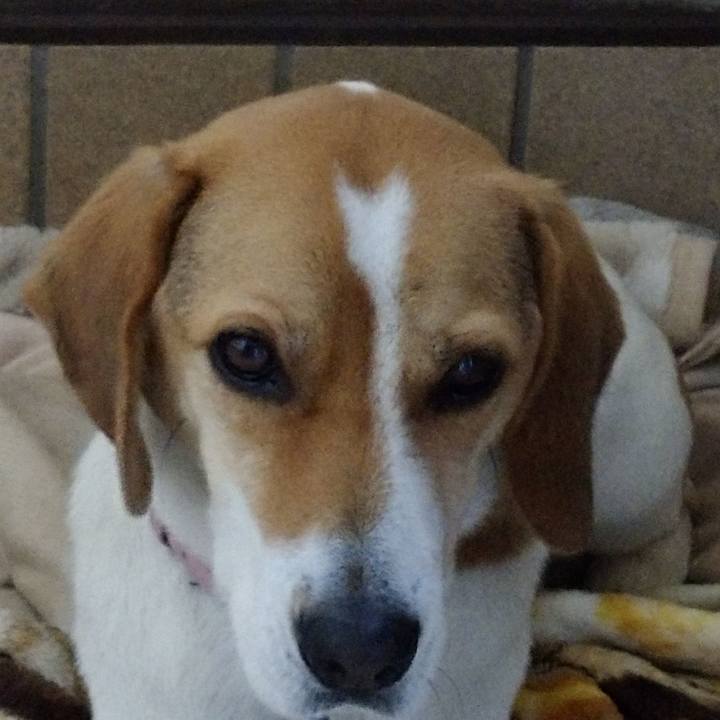 9e642294 0dc3 4b5b bdfc f5ca8dbe7df7 1578458288637