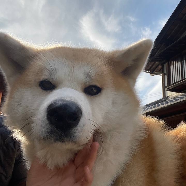 9e6429d0 0ec7 4d07 b138 6de2e57a788c 1703942390099